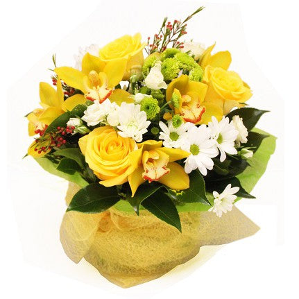 Bright Yellow Posy