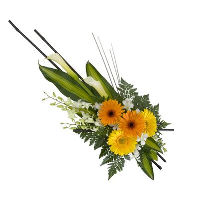Bright Sympathy Sheaf