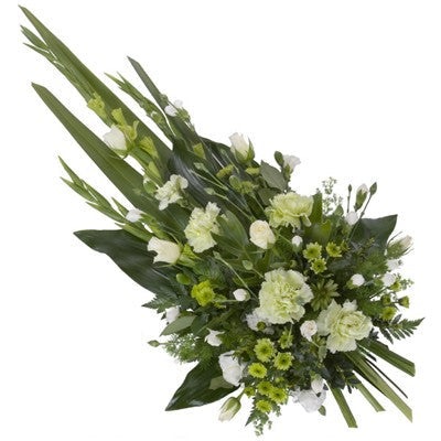 White Sympathy Sheaf