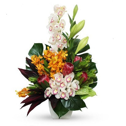 Modern Tropical Arrangement