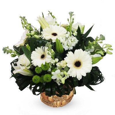 White Sympathy basket