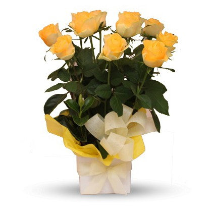 Yellow Roses