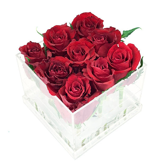 red roses cube