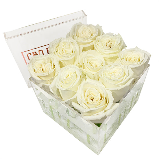 9 White Roses Cube